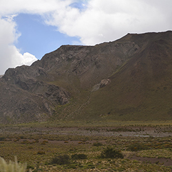 San Rafael - Mendoza - Argentina - Miss Olivos